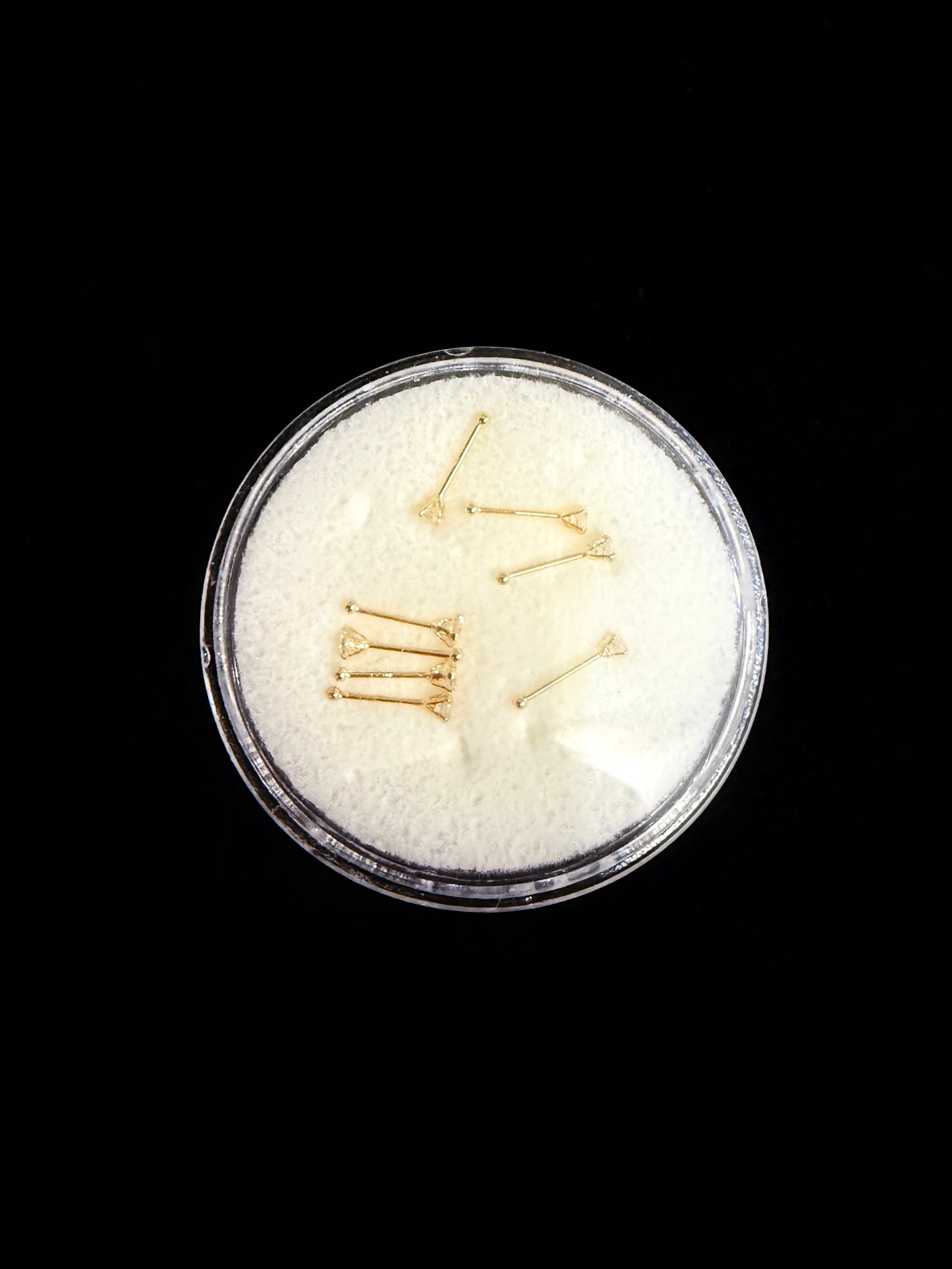 Nose Studs (Pack of 8)